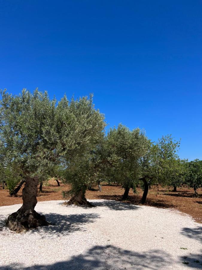 Masseria Concorrano Apartamento Castellana Grotte Exterior foto