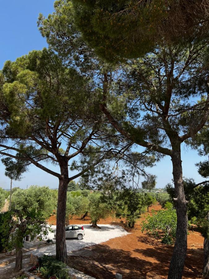 Masseria Concorrano Apartamento Castellana Grotte Exterior foto